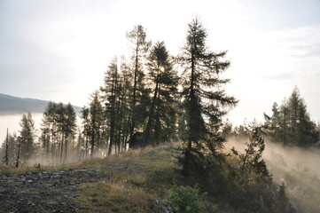 mgła, poranek, Pieniny, Kluszkowce, góry, wiosna, chmury,  © Albin Marciniak