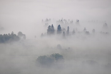 mgła, poranek, Pieniny, Kluszkowce, góry, wiosna, chmury,  - obrazy, fototapety, plakaty