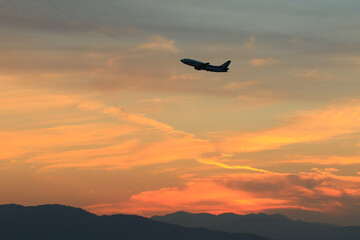 Fototapeta na wymiar plane in the sunset