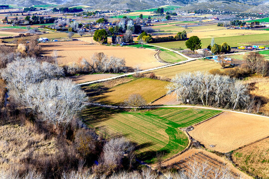 Campo en la vega del rio Taju&ntilde;a. Chinch&oacute;n.