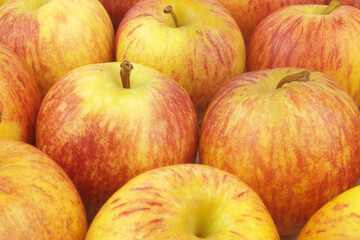 Yellow-red apples background