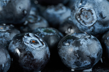 Few  blueberries with water drops close-up macro