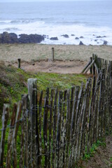 Obraz premium A small path along the coast. Batz-sur-mer, France;
