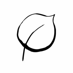 Summer sketch outline leaf. Hand-drawn line textured herb on white background. Doodle graphic plant. Nature, gardening, forest, fall, eco sign. Drawing ink leaf. Vector botanical season illustration