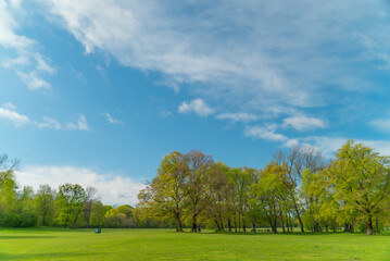 Fototapeta premium 青い空と公園