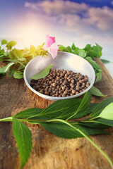 allspice tasty natural and healthy