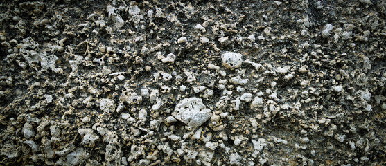 Natural stone background. Detail of a wall of organogenic segmental rocks found in Elba island,...