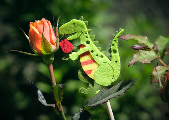 Rosa de Sant Jordi con el dragón 