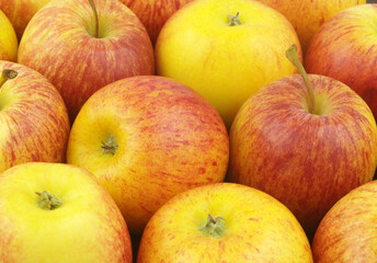 Many ripe yellow-red apples close up as background	