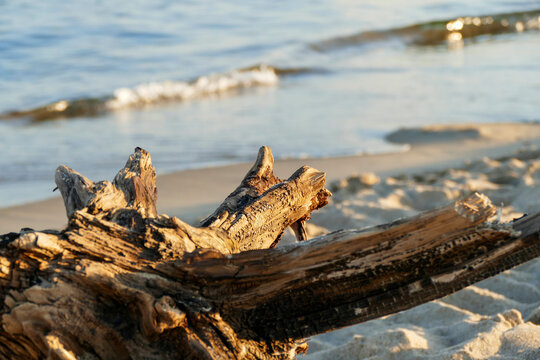Popołudniowy relaks na plaży.