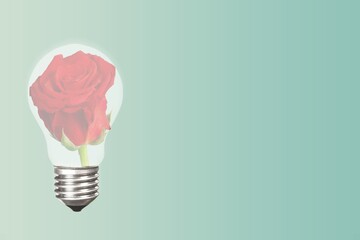 Red rose in light bulb. Concept green energy.