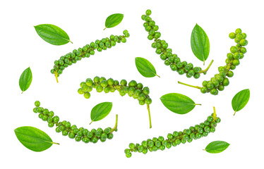 Green peppercorn on white background,Top view