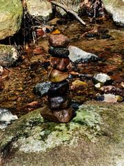 stream in the forest