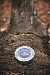 Naklejka premium Compass on a tree stump in forest.Travel and recreation wild.