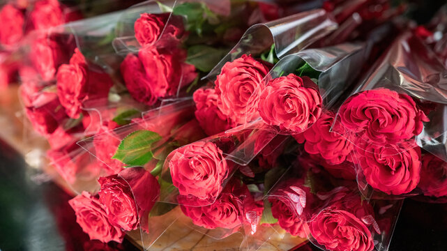 Wrapped red roses stacked on a table as gifts for valentine's day, February 14th