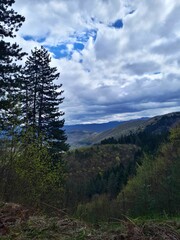 Landscape of mountain Jahorina and pine forest seen from mountain Igman, Bosnia and Herzegovina