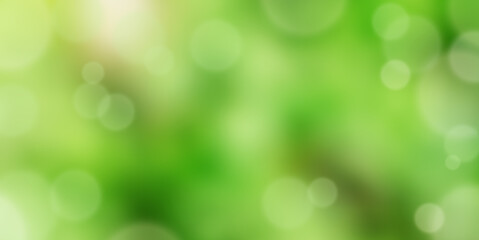 Obraz premium The blurred green of the leaves of trees in the sunlight and glare