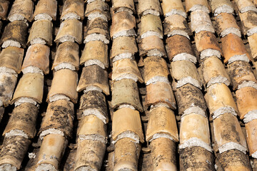 Roof tiles of a house