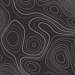 Abstract arrangement of lines in the style of a topographic map. Light outlines on a dark background. Vector illustration.
