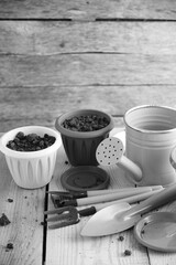 Flower pots, garden tools and watering can, planting flowers and preparing for summer season.