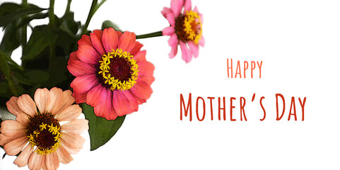 Happy Mothers Day card with zinnia flowers illustration