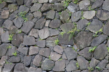 江戸城跡・皇居のお堀（馬場先壕）の石垣