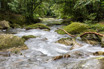 Very calm river in the brazilian rainforest in the state of São Paulo - Brazil