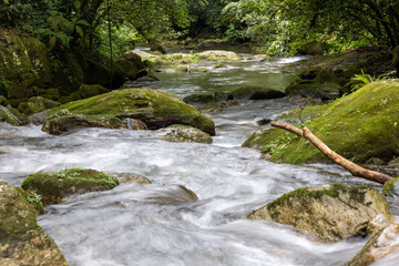 river of running water between rocks with green mosses between the trees