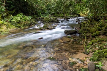 Naklejka na ściany i meble Very calm river in the brazilian rainforest in the state of São Paulo - Brazil
