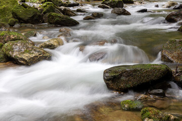 Very calm river in the brazilian rainforest in the state of S&atilde;o Paulo - Brazil