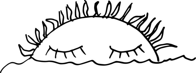 The rising sun and beyond the horizon