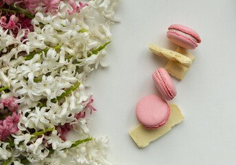Pink macaroons and white chocolate with hyacinth on white background