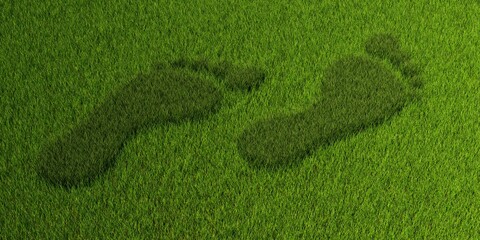 Two footprint shape symbols growing from grass, ecology, environment or carbon footprint concept on green grass background