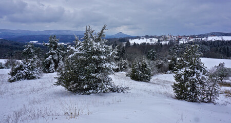 Wacholderheide im Winter; Schwäbische Alb; Deutschland juniper heath in winter; Swabian Alb; Germany