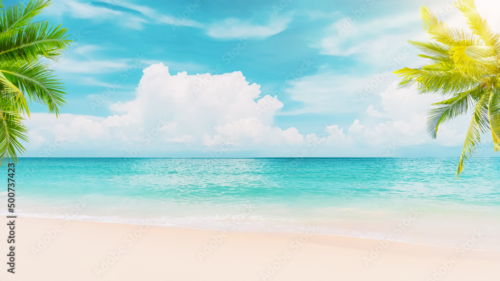 Wall mural palm tree on tropical beach with blue sky and white clouds abstract background. copy space of summer