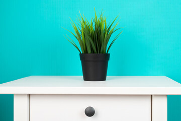 grass in a pot on a table stand, minimalism, home plants, interior design