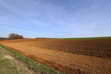 Fototapeta na wymiar Spring landscape. Plowed and sown field in the spring