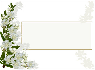 simple frame with light flowers on white
