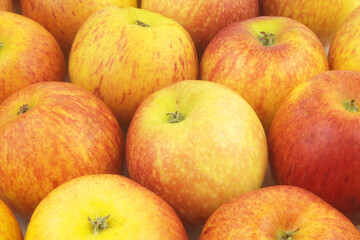 Many ripe yellow-red apples close up as background	