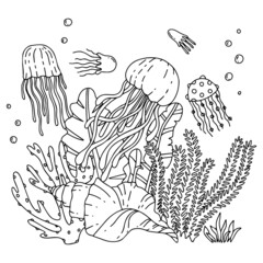 The bottom of the ocean with marine life and algae. Doodle style, hand drawn.
