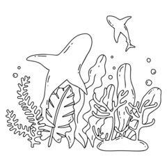 The bottom of the ocean with marine life and algae. Doodle style, hand drawn.