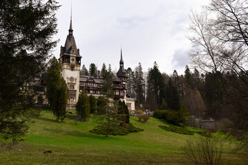 Fototapeta na wymiar old castle in the forest