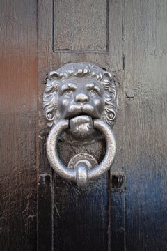 Silver lion head door knocker