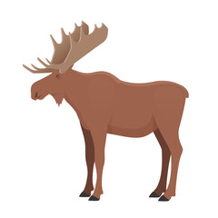 Moose. Vector isolated on white background