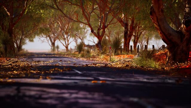 open road in Australia with bush trees