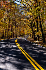 Obraz premium road in autumn