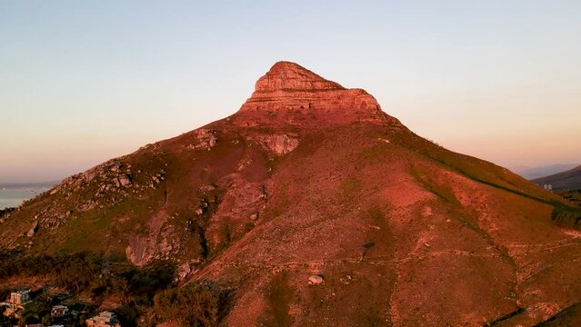 Lions head South Africa