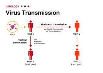 Virology infographic explain concept of virus transmission, vertical and horizontal, including direct and indirect infection to infected host. 