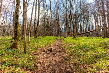 Wanderung zu den Gleichbergen bei Römhild in Südthüringen - Thüringen - Deutschland
