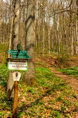 Wanderung zu den Gleichbergen bei Römhild in Südthüringen - Thüringen - Deutschland